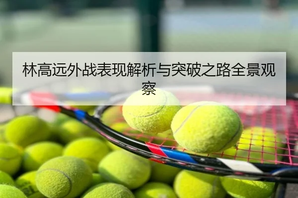 林高远外战表现解析与突破之路全景观察