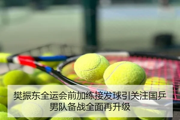樊振东全运会前加练接发球引关注国乒男队备战全面再升级