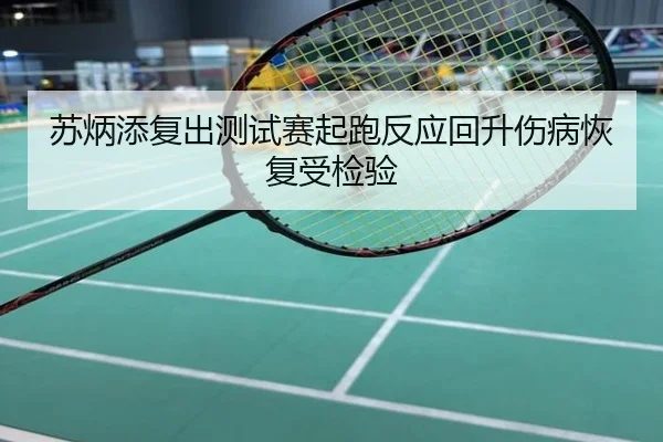 苏炳添复出测试赛起跑反应回升伤病恢复受检验